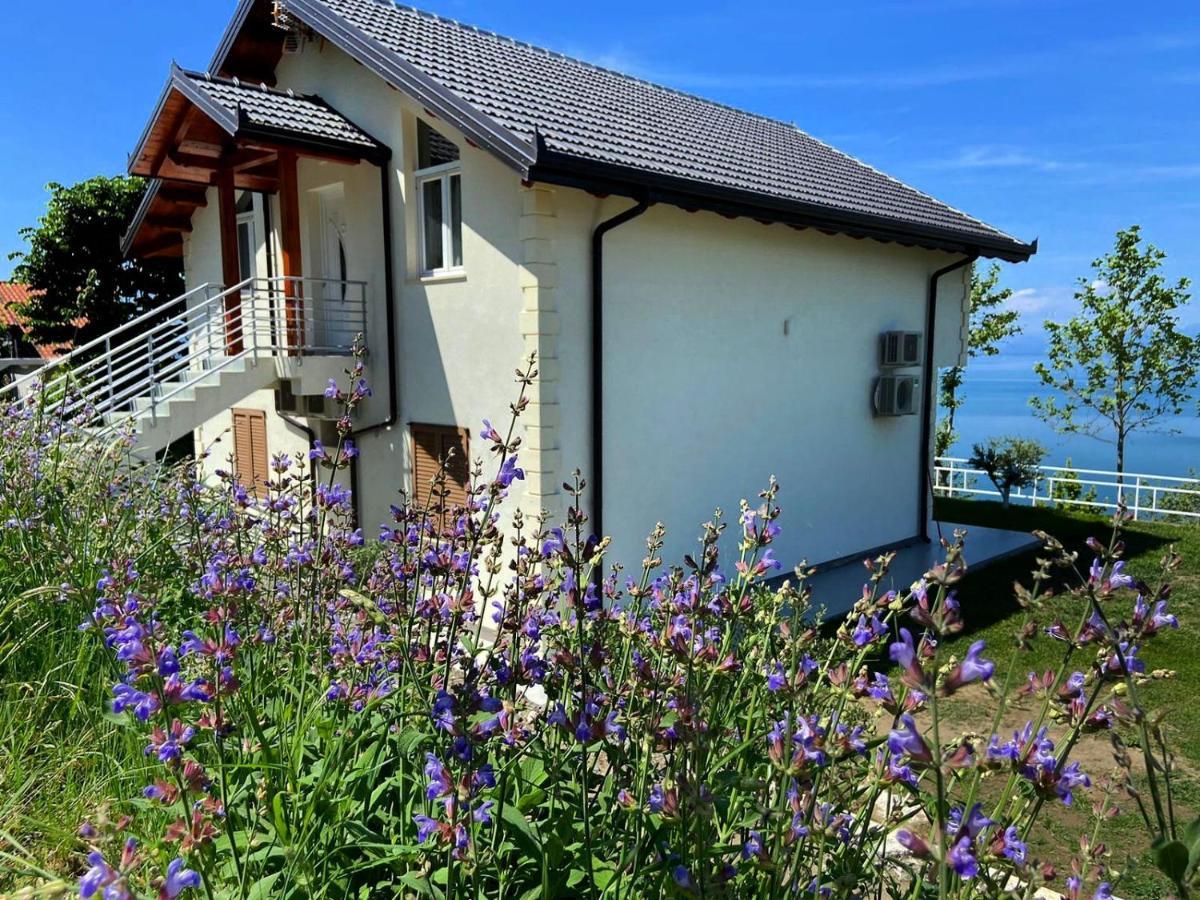 Xhuli Guesthouse Szkodra Zewnętrze zdjęcie