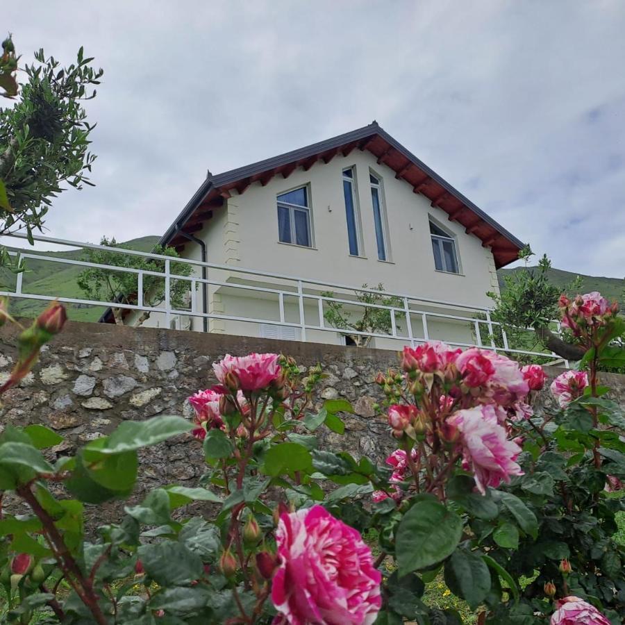 Xhuli Guesthouse Szkodra Zewnętrze zdjęcie