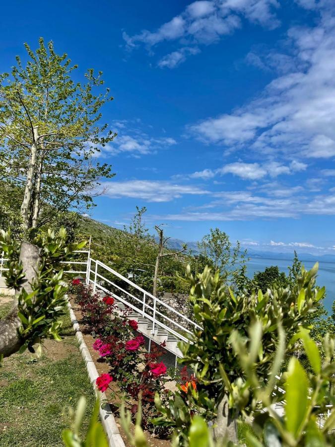Xhuli Guesthouse Szkodra Zewnętrze zdjęcie