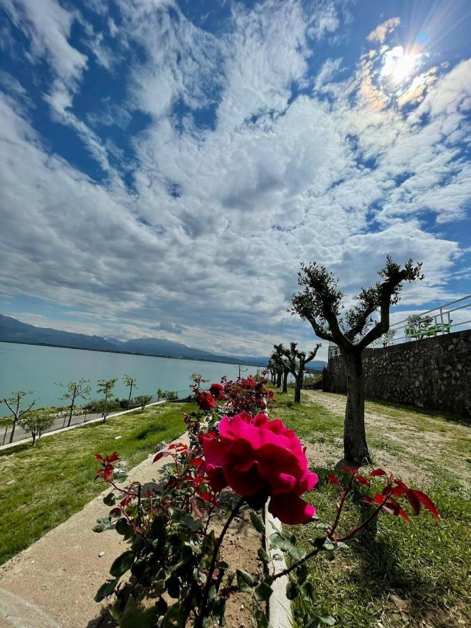 Xhuli Guesthouse Szkodra Zewnętrze zdjęcie