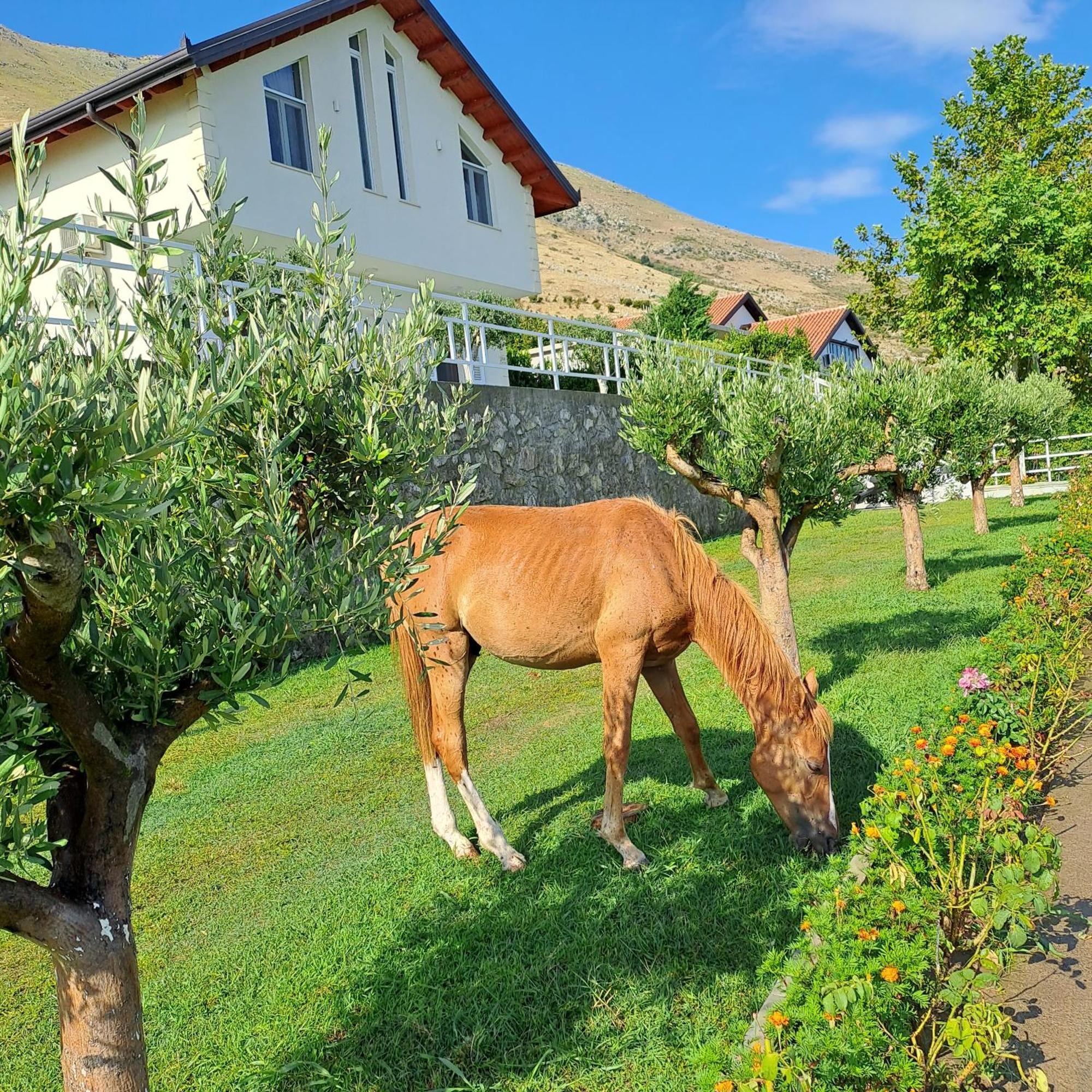Xhuli Guesthouse Szkodra Zewnętrze zdjęcie